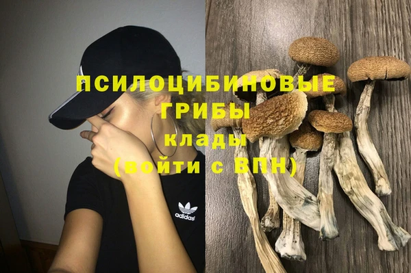 каннабис Аркадак