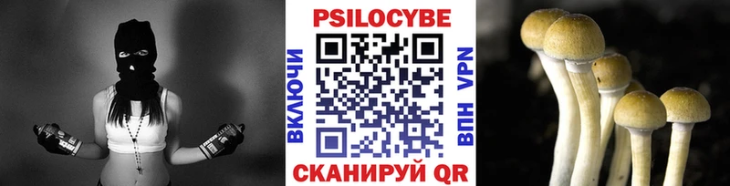 Псилоцибиновые грибы MAGIC MUSHROOMS  Верхний Тагил 